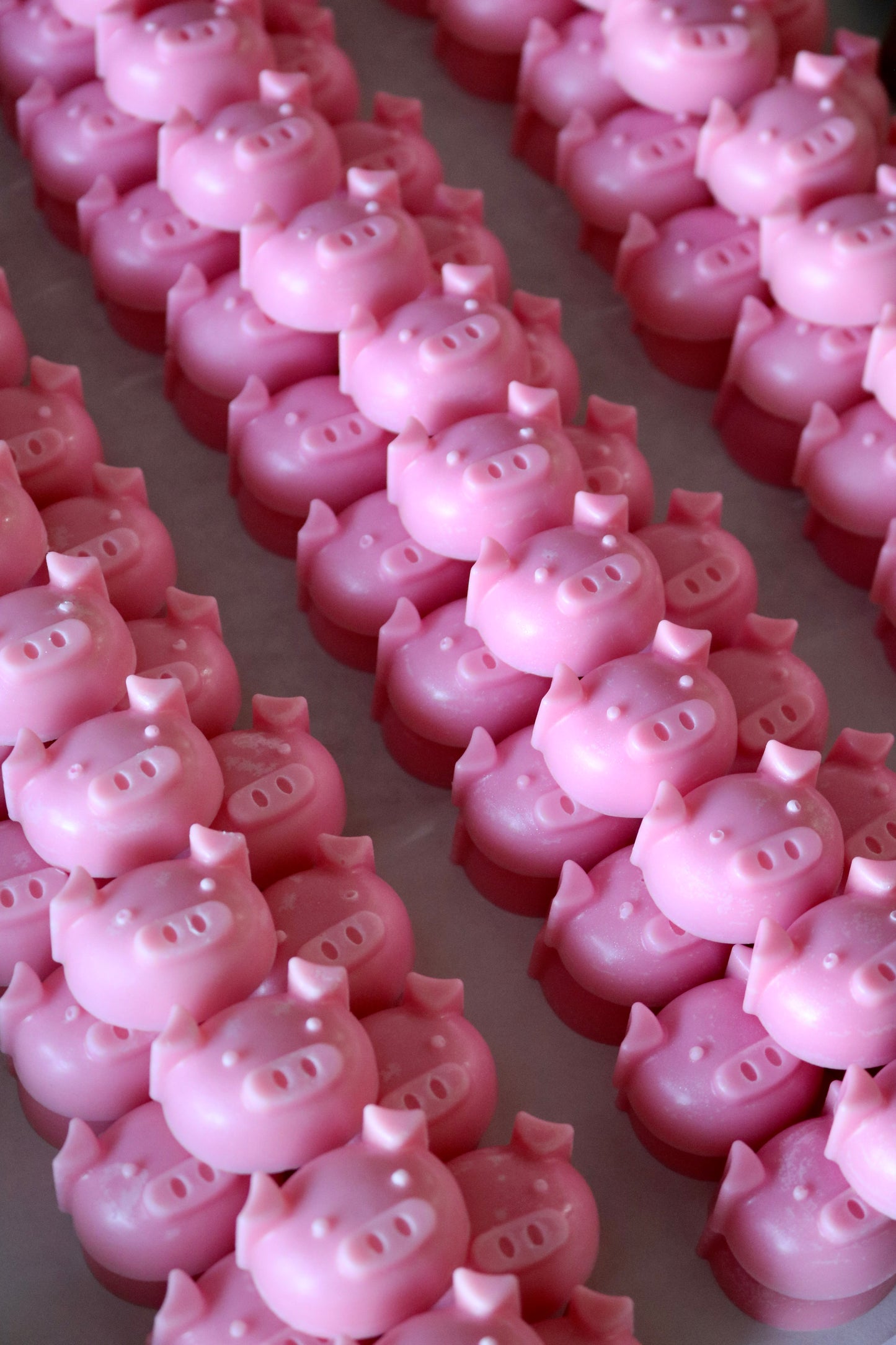 Pig Wax Melts