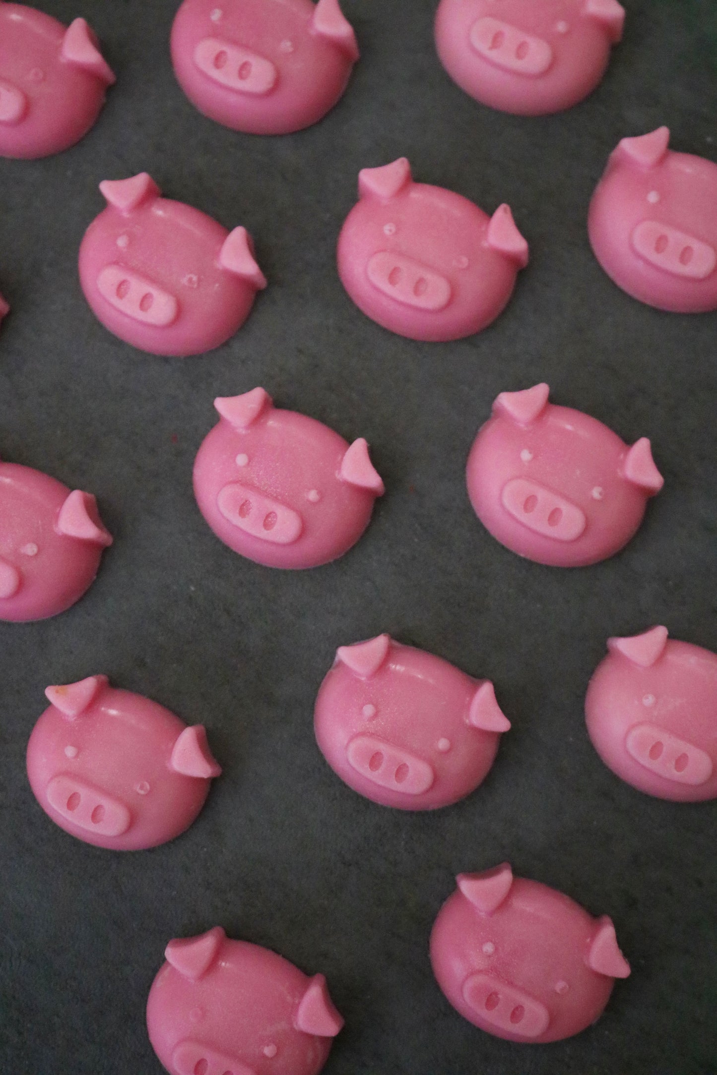 Pig Wax Melts