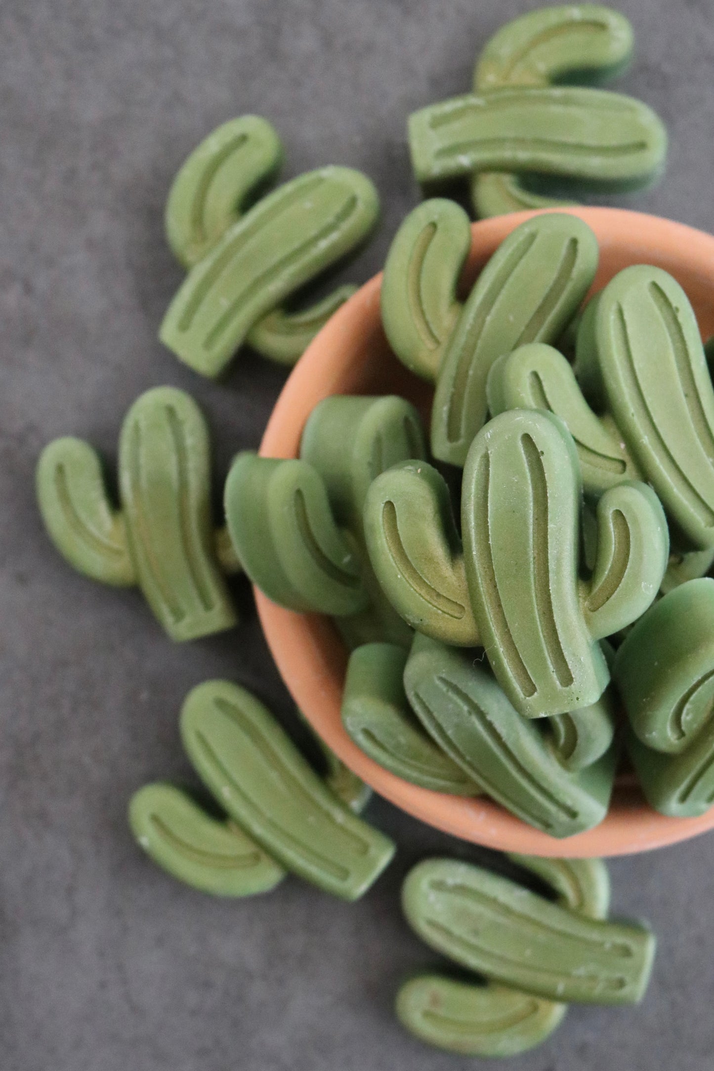 Cactus Wax Melts