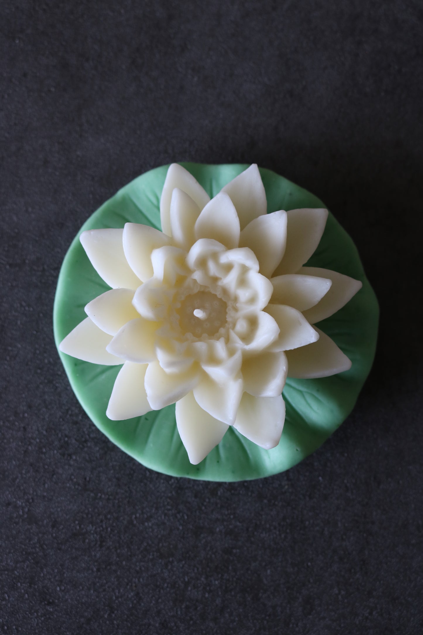 Waterlily