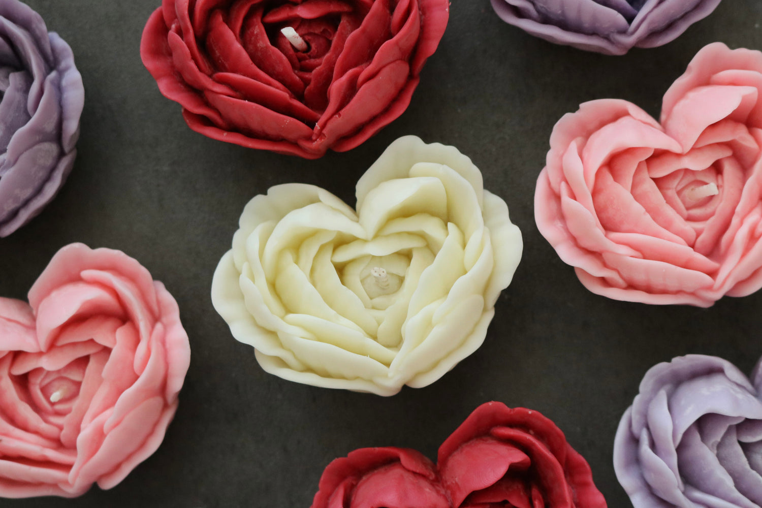 Valentine’s Day Collection