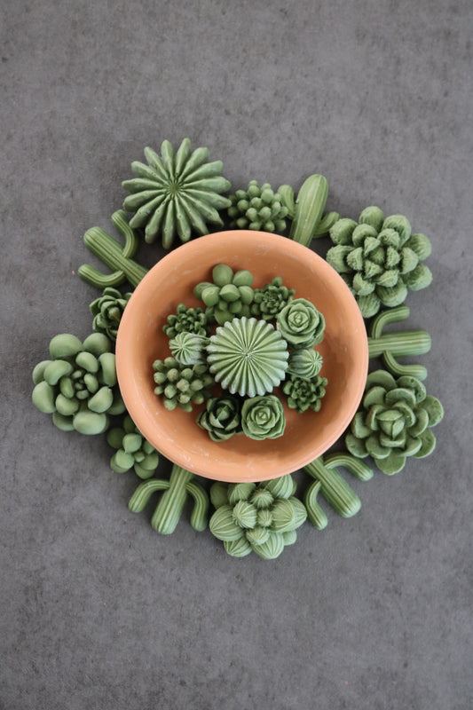 Succulent Wax Melts